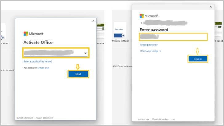 Sign in with your Microsoft account email and password