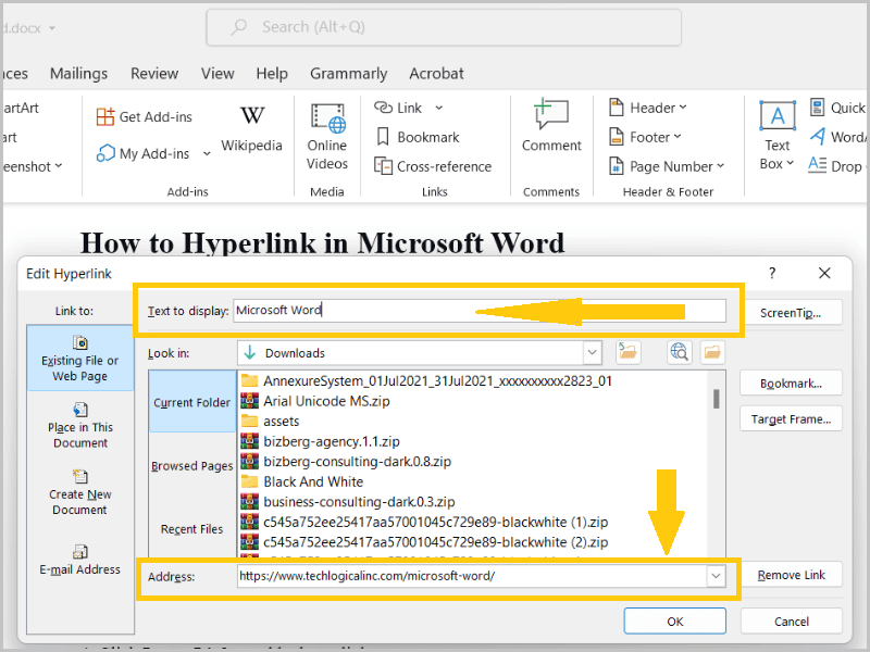 Edit Hyperlink dialog box in Word