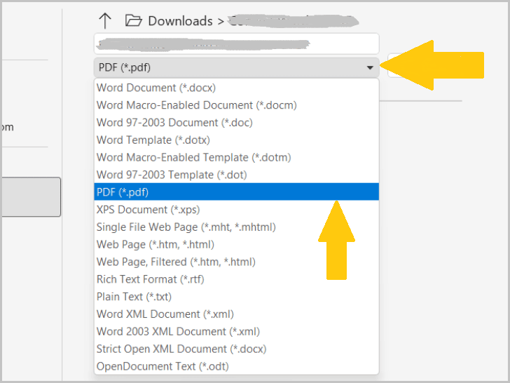 Click the dropdown arrow and choose “PDF (*.pdf)” from the list of options